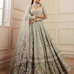 Gray Designer lehenga choli