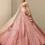Pink Designer lehenga choli