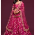 Pink Lehenga choli