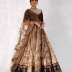 Sabyasachi lehenga choli